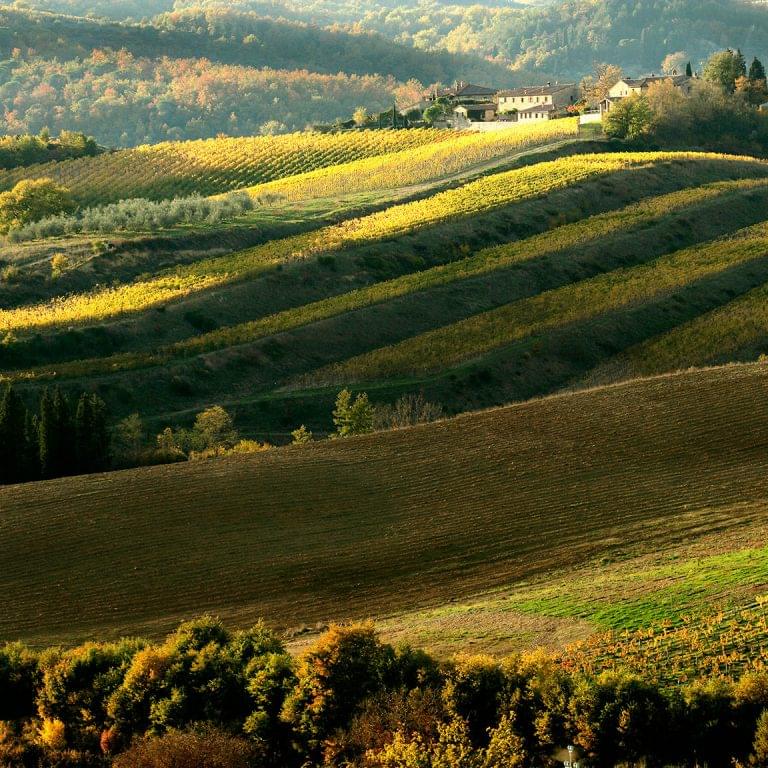 Chianti Classico
