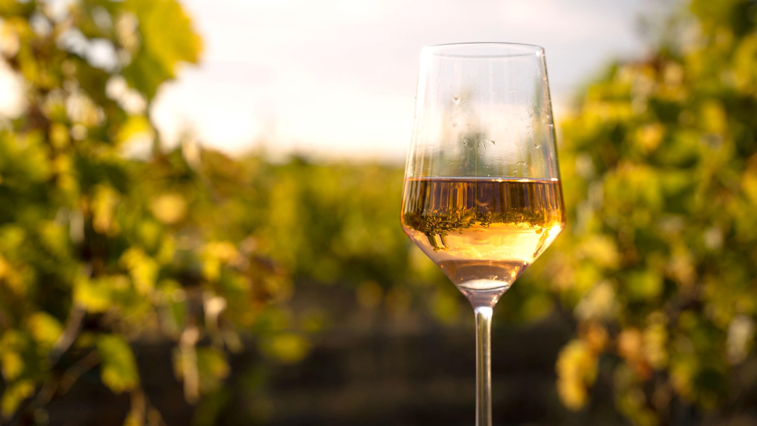 Understanding Terra Alta's Brisat, Spain's First Officially