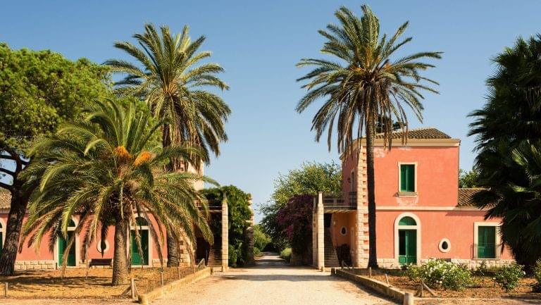 A photography of the Planeta Dorilli Winery