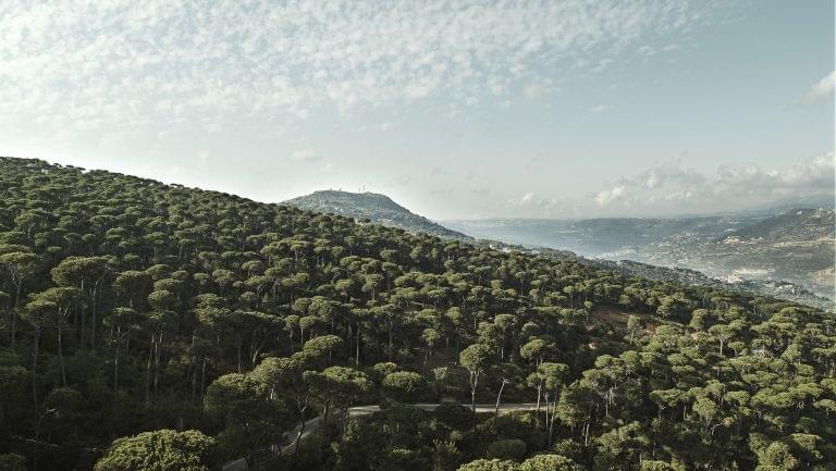 A wide landscape photograph of high elevation vineyards at IXSIR in Lebanon