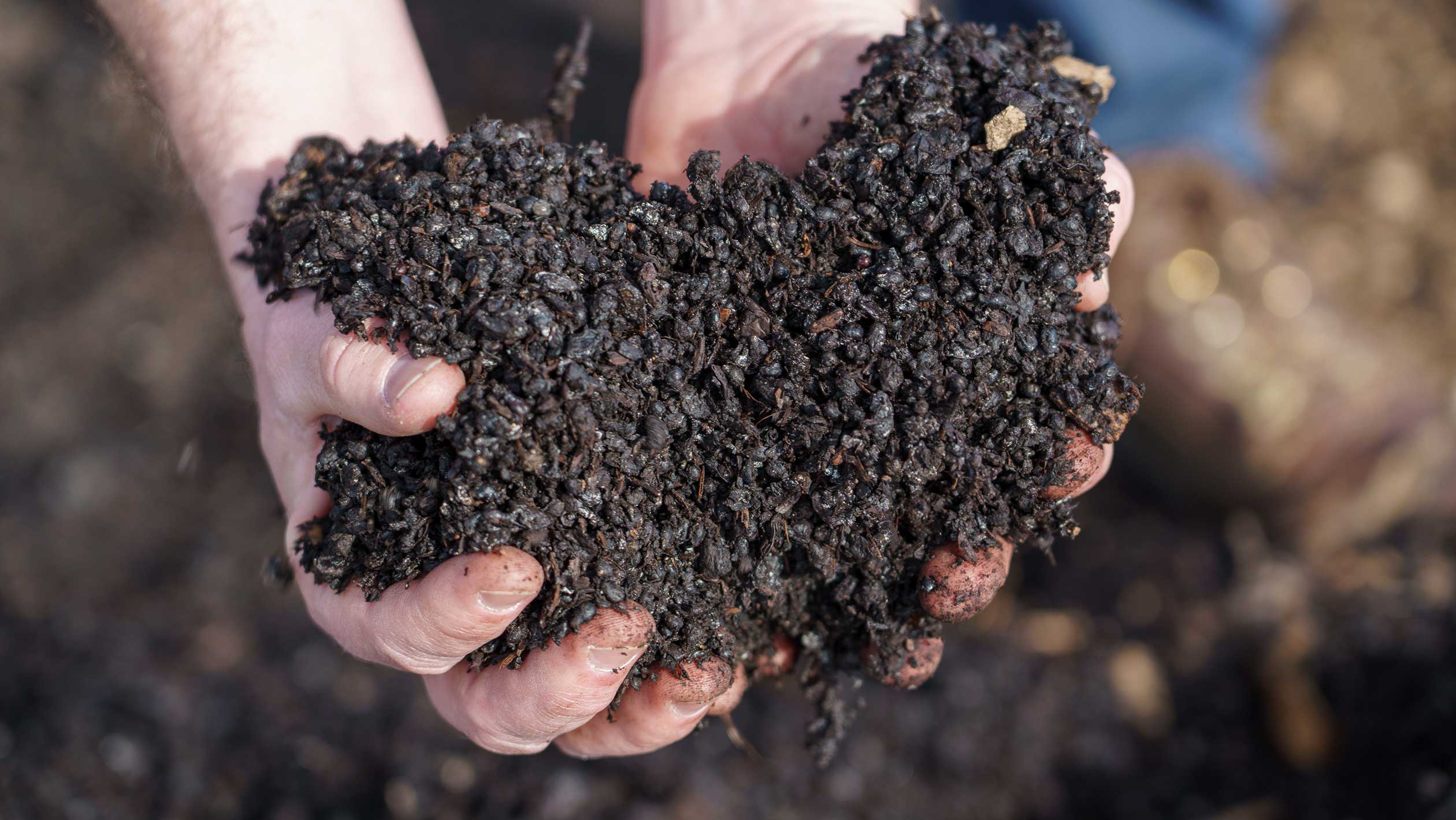 A closeup of a handful of soil.