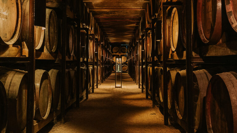 A dimly lit wine barrel room.