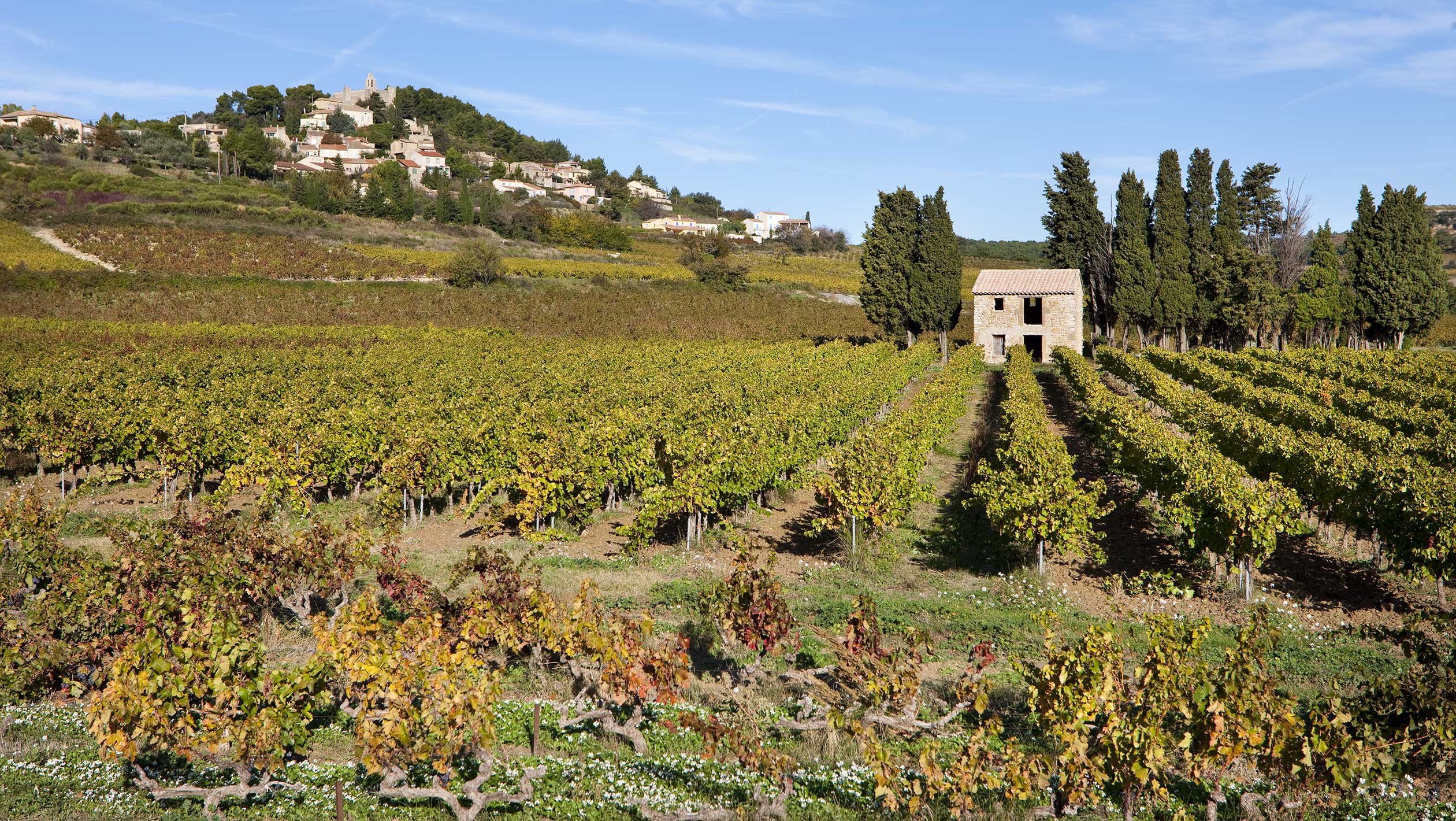 A midday landscape photo of Rasteau vineyards