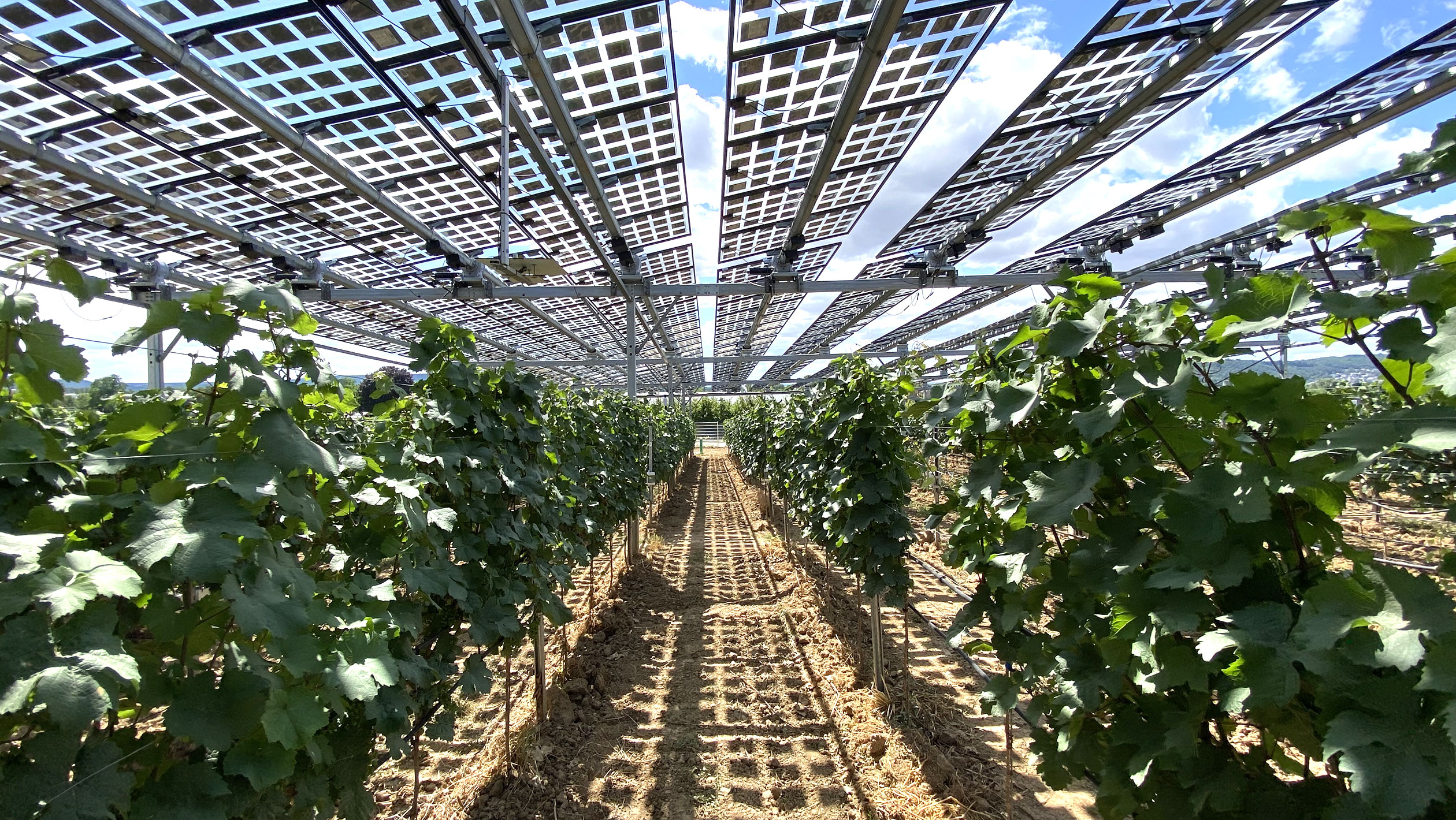 New Fact Sheet Provides Soil Health Resources for Solar Development – Morning Ag Clips