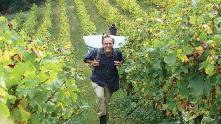 A photo of Nicolas Joly working in the La Coulée de Serrant vineyards.