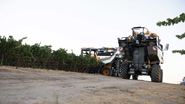 An image of a mechanical harvester at work in a vineyard.