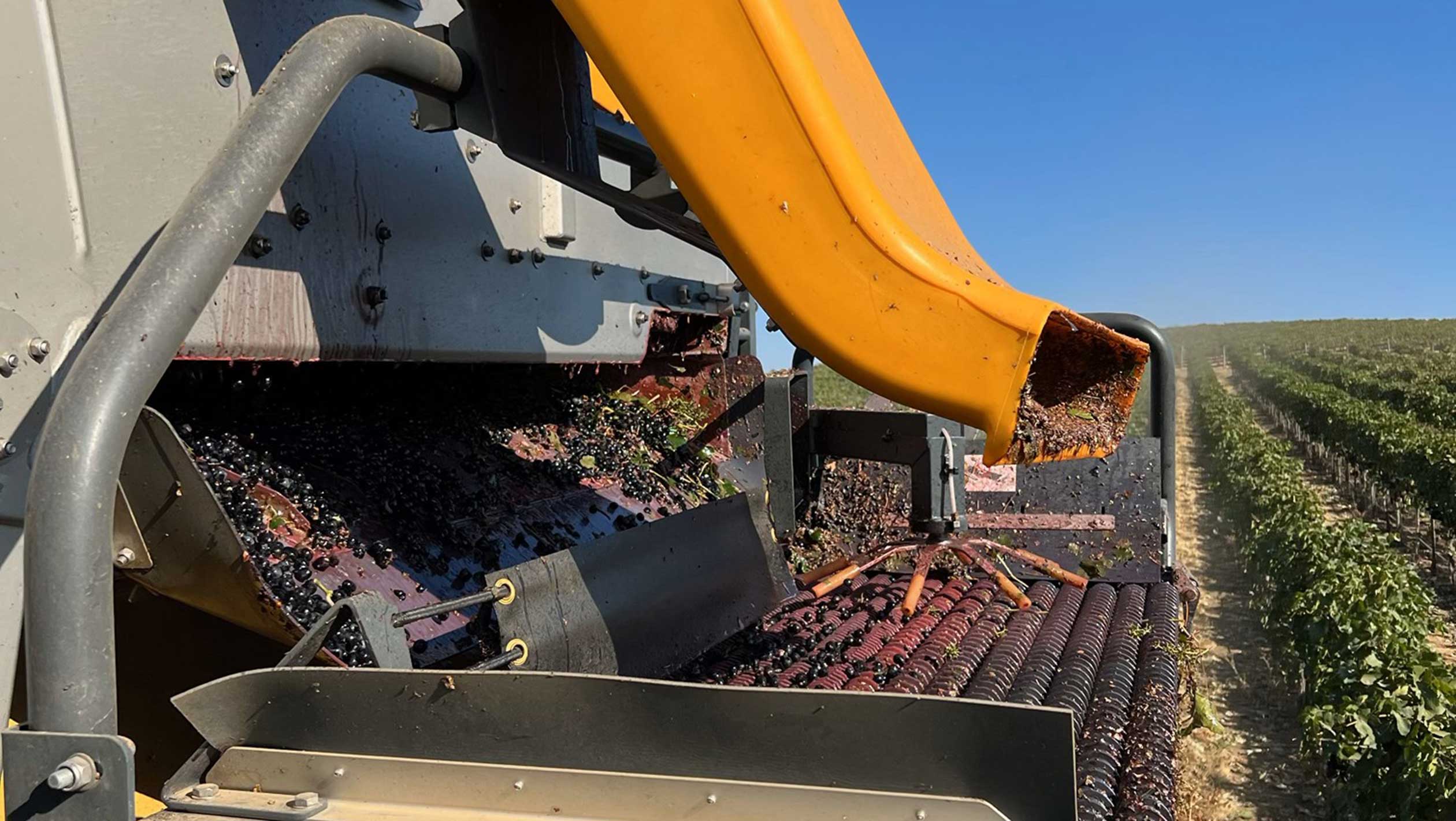 A mechanical harvesting machine