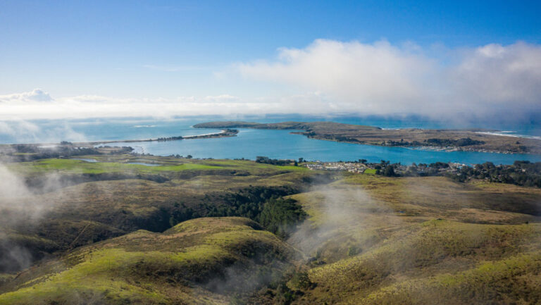 The coastal vineyards of the proposed Freestone-Occidental AVA.