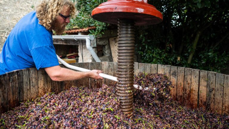 A photo of winemaker Sylvain Pataille working with grape skins in a press.