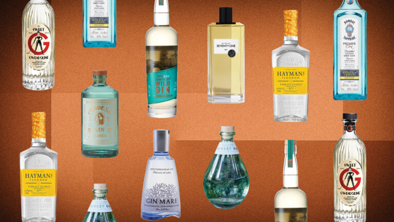 A lineup of featured gin bottles in a graphic.