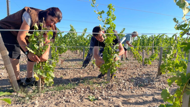 Marguerite de Luze, a co-owner Château Paveil de Luze, believes in the power of the Cru Bourgeois collective. Photo courtesy of Château Paveil de Luze.