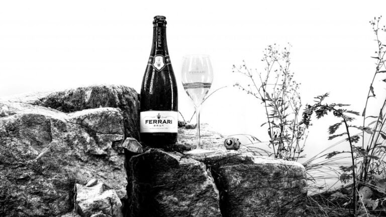Ferrari Trento bottle and glass displayed on a rocky outcrop.