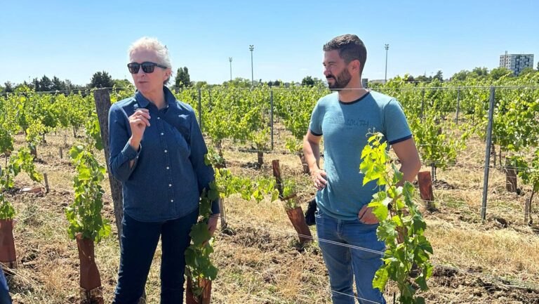 Rosa Kruger and Esteban Fortin at a Chenin Blanc clonal garden in France. Photo courtesy of Etienne Neethling.