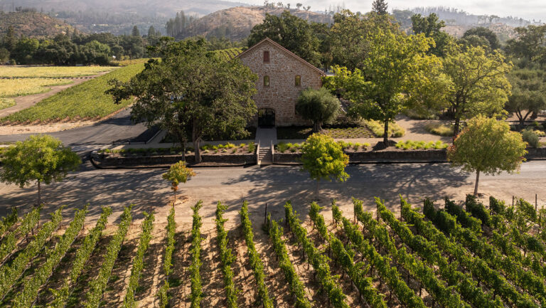 "The challenge is to detect and identify the disease, and then determine the appropriate course of action," says Adam Casto, the winemaker for Ehlers Estate, pictured above.