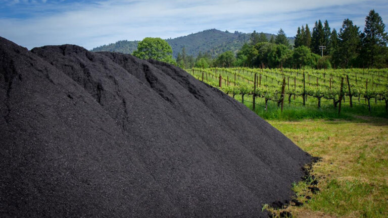 Biochar appears in an vineyard in Napa.