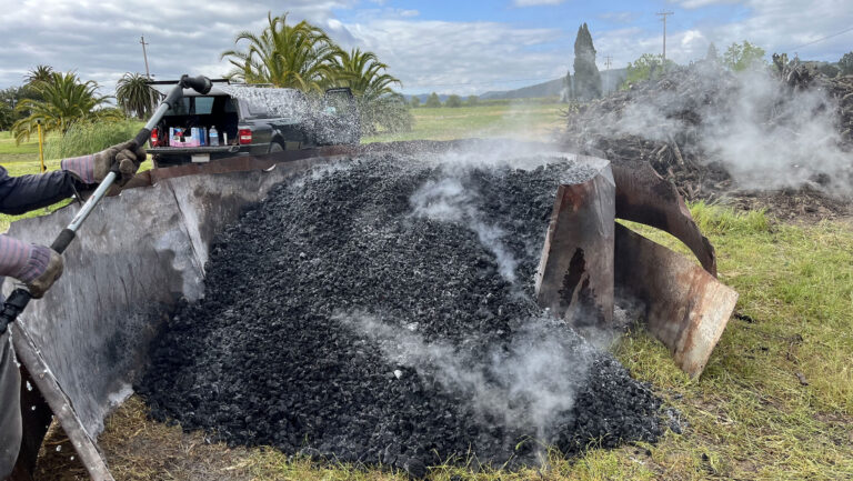 Is biochar the most durable carbon removal tool in viticulture?