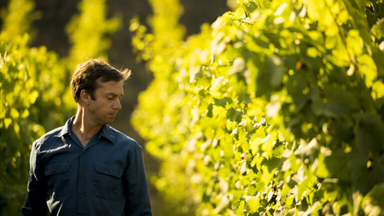 Matt Dees, the winemaker for Jonata and The Hilt Estate, says that Bordeaux varieties take to VSP very well. Photo courtesy of Matt Dees.