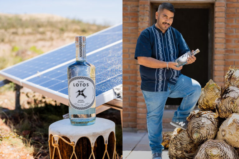 Sotol could be Mexico’s next breakout spirit in the U.S.