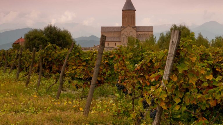 Georgian wine looks past its amber reputation
