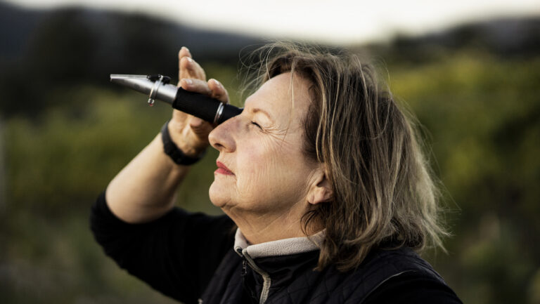 How Dry Farming Improves Grape Vine Resilience