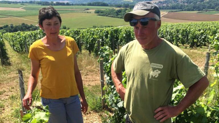 Long before organic farming became commonplace, the De Moors embraced manual viticulture, spontaneous fermentation, and a vineyard-first philosophy that often put them at odds with regional norms. Photos courtesy of Alice and Olivier De Moor.