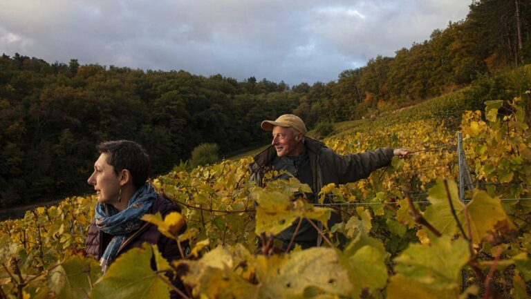 By charting their own course in Burgundy, the Courgis growers earned a loyal following in the U.S. wine trade. Photo courtesy of Alice and Olivier De Moor.