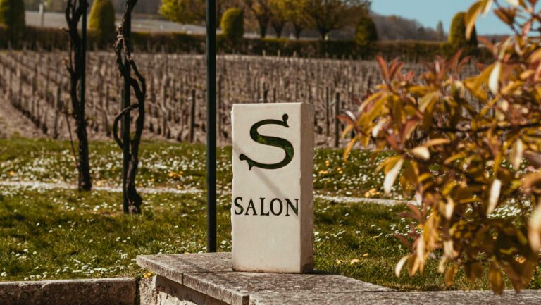 How Salon became a Champagne icon