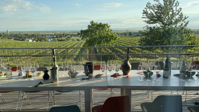 How Burgenland is Reshaping Austrian Wine