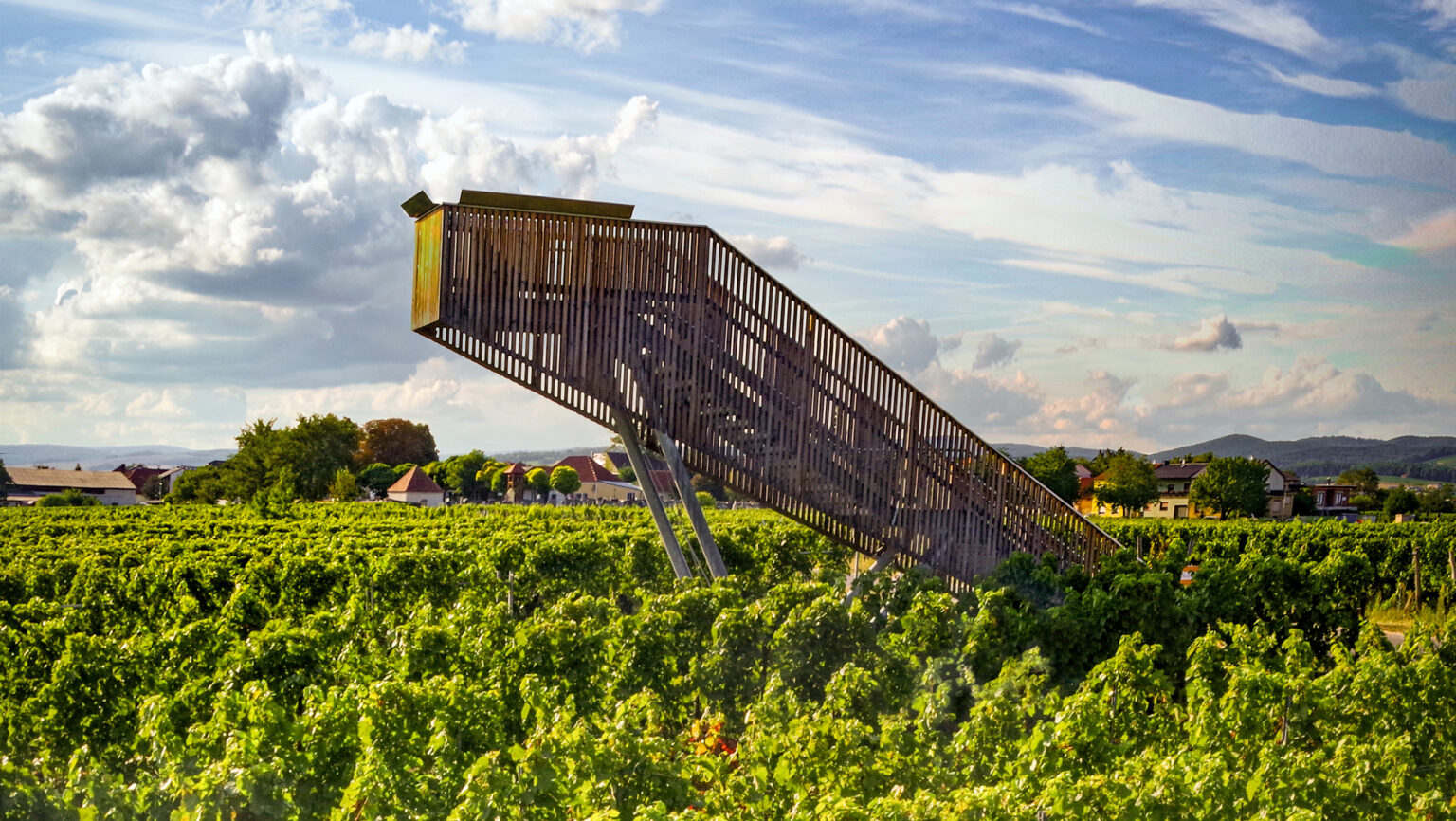How Burgenland is Reshaping Austrian Wine