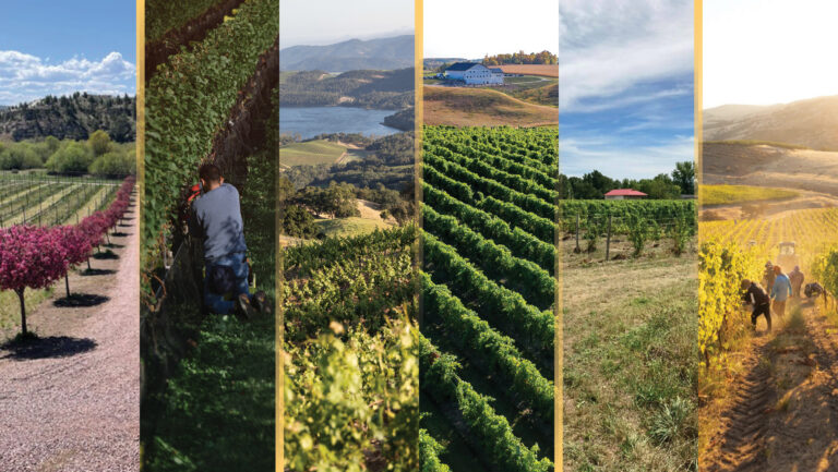 Seven proposed AVAs reveal the growing diversity of American winegrowing regions.