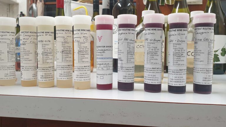 Smoke-tainted wine samples being prepared for analysis during the 2020 harvest. Photo courtesy of Alex Cassegrain.