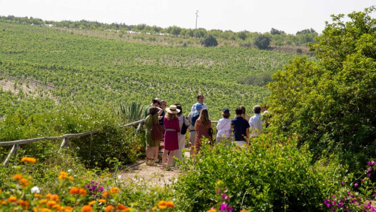 The Manifesto di Noto considers wine’s cultural, agricultural, economic, and social relevance. Photo courtesy of Planeta.