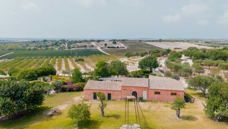 A 2025 gathering hosted by Planeta brought together winemakers and thought leaders to explore how wine can remain relevant to a changing world. Photo courtesy of Planeta.